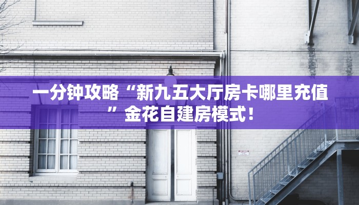 一分钟攻略“新九五大厅房卡哪里充值”金花自建房模式！