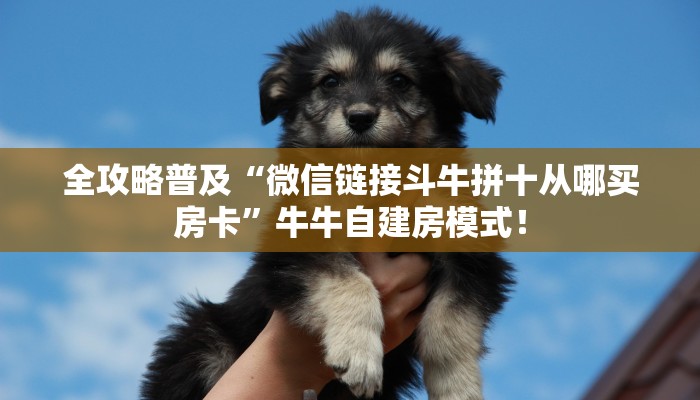 秒懂房卡“新北游大厅房卡”哪里有房卡卖 秒懂房卡“新北游大厅房卡”哪里有房卡卖