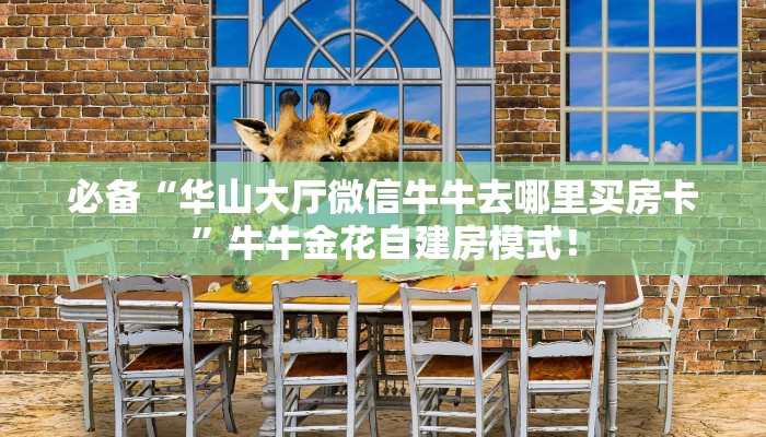 必备“圣游微信群牛牛从哪买房卡”大厅链接自建房模式! 必备“圣游微信群牛牛从哪买房卡”大厅链接自建房模式!