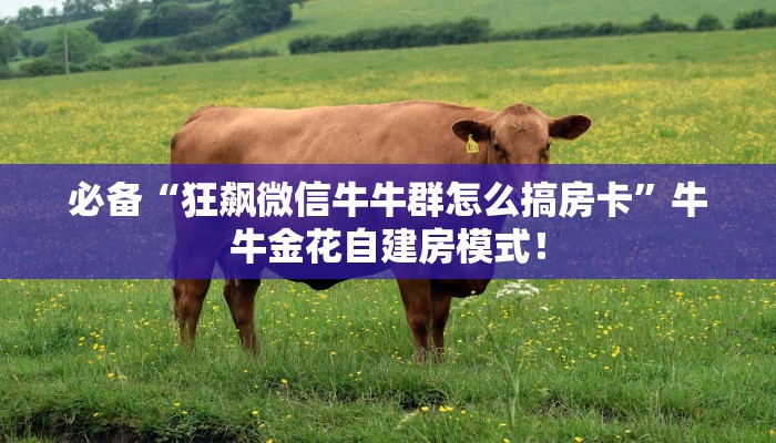 秒懂房卡“悠悠系列大厅房卡”房卡多少钱 秒懂房卡“悠悠系列大厅房卡”房卡多少钱