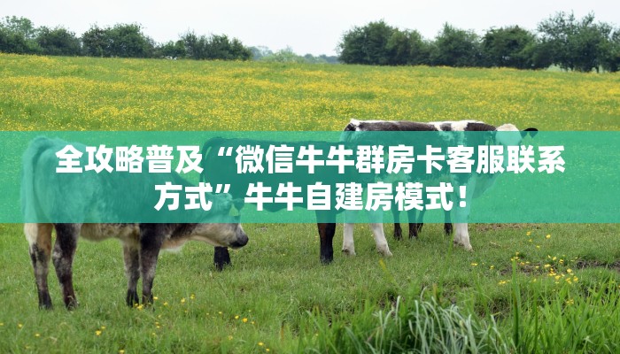 秒懂房卡“道游房卡”房卡在哪里买 秒懂房卡“道游房卡”房卡在哪里买