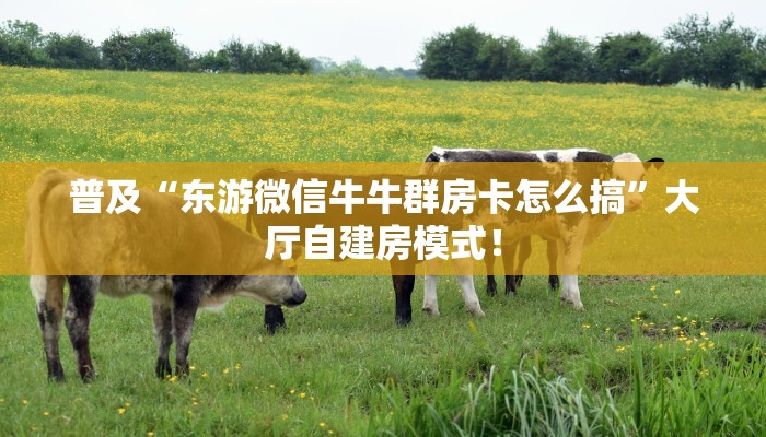 秒懂房卡“金龙联盟大厅怎么开房卡”房卡获取方式 秒懂房卡“金龙联盟大厅怎么开房卡”房卡获取方式