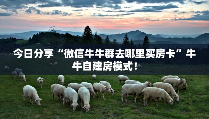 秒懂房卡“新芒果众娱房卡”房卡如何买