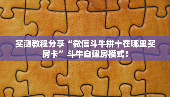 秒懂房卡“新九哥房卡”房卡怎么搞 秒懂房卡“新九哥房卡”房卡怎么搞