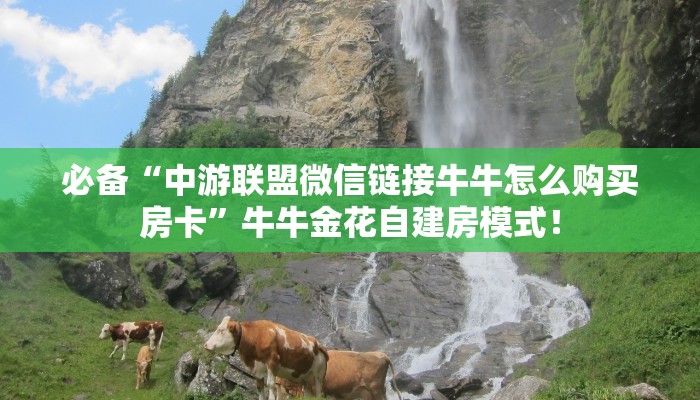 秒懂房卡“逍遥怎么开房卡”在哪买房卡 秒懂房卡“逍遥怎么开房卡”在哪买房卡