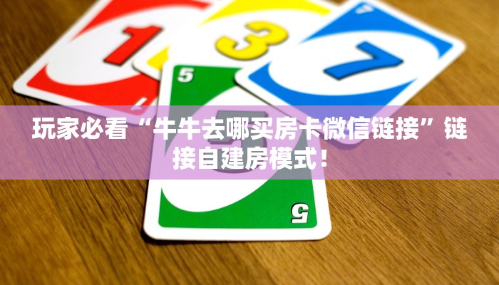 秒懂房卡“圣游大厅房卡”在哪里买房卡 秒懂房卡“圣游大厅房卡”在哪里买房卡