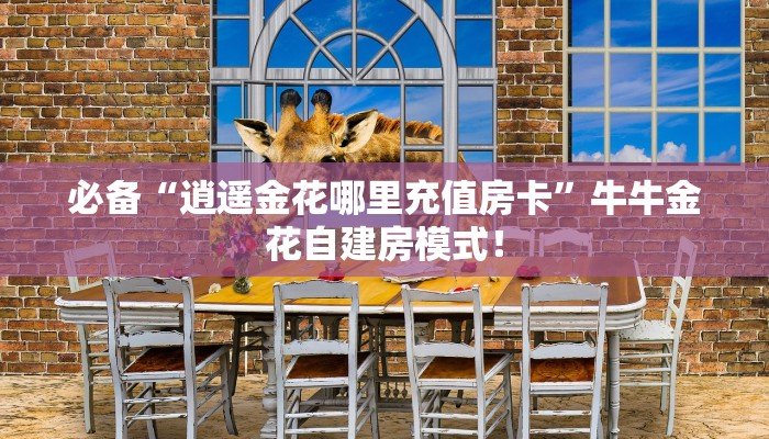 秒懂房卡“玄龙二厅大厅在哪买房卡”获取房卡方式 秒懂房卡“玄龙二厅大厅在哪买房卡”获取房卡方式