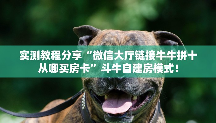 秒懂房卡“奥迪大厅房卡”在哪买房卡 秒懂房卡“奥迪大厅房卡”在哪买房卡