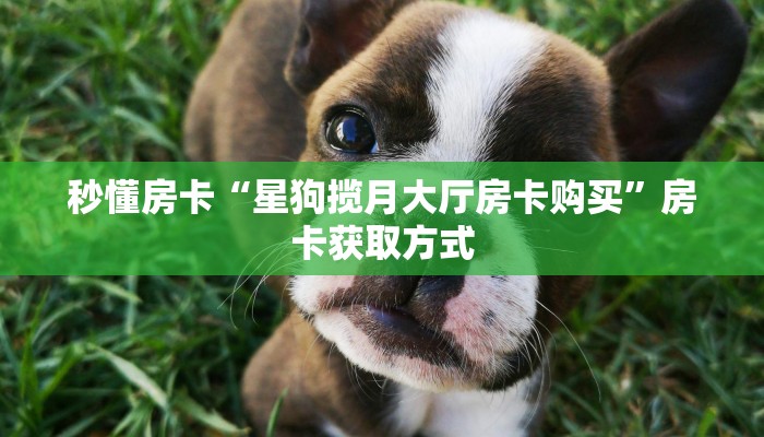 秒懂房卡“新奶茶大厅房卡”房卡获取方式