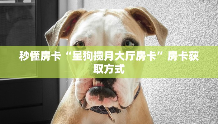 秒懂房卡“鸿运大厅房卡”怎样买房卡 秒懂房卡“鸿运大厅房卡”怎样买房卡
