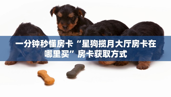 房卡教程经验“新奇玩乐大厅怎么开房卡”获取房卡经验 房卡教程经验“新奇玩乐大厅怎么开房卡”获取房卡经验