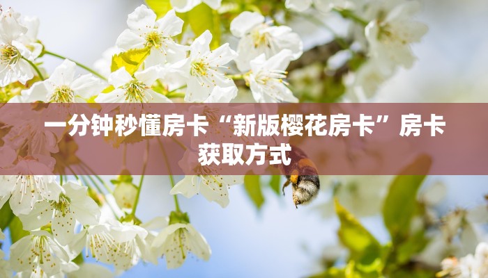 秒懂房卡“新超圣大厅房卡”房卡在哪里买 秒懂房卡“新超圣大厅房卡”房卡在哪里买
