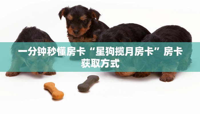 秒懂房卡“人海大厅房卡”房卡购买经验 秒懂房卡“人海大厅房卡”房卡购买经验