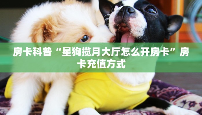 秒懂房卡“番茄大厅房卡”哪里有房卡卖 秒懂房卡“番茄大厅房卡”哪里有房卡卖