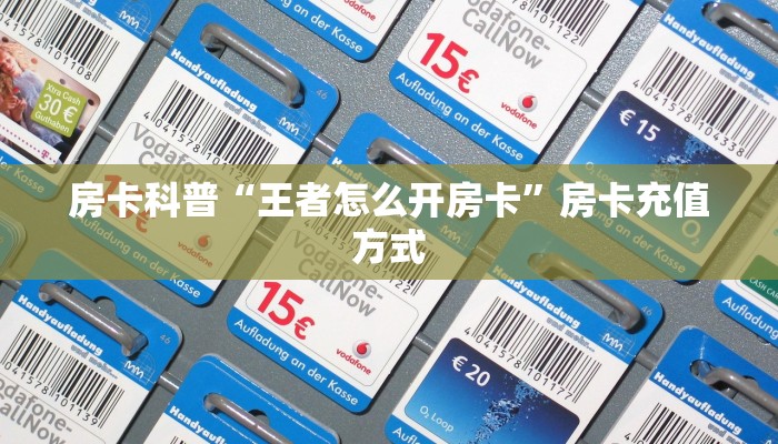 秒懂房卡“蛮虹房卡”在哪买房卡 秒懂房卡“蛮虹房卡”在哪买房卡