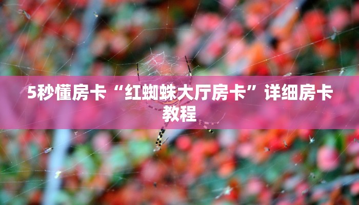 5秒懂房卡“红蜘蛛大厅房卡”详细房卡教程 5秒懂房卡“红蜘蛛大厅房卡”详细房卡教程