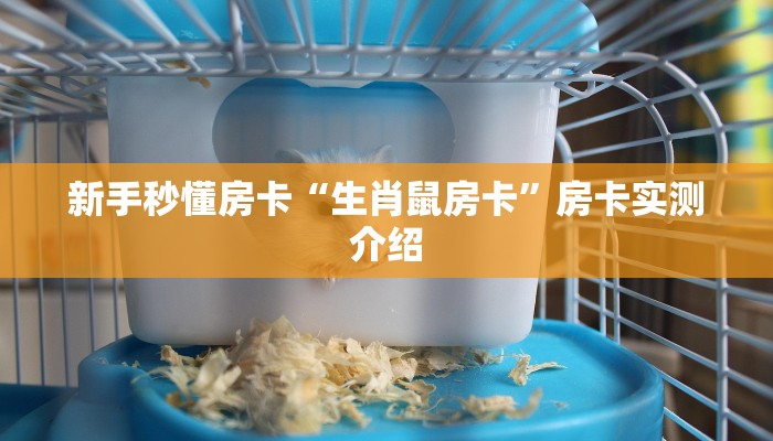 秒懂房卡“魔龙怎么开房卡”去哪里购买房卡 秒懂房卡“魔龙怎么开房卡”去哪里购买房卡