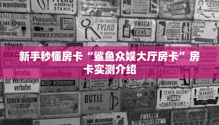 秒懂房卡“至尊宝房卡”房卡多少钱 秒懂房卡“至尊宝房卡”房卡多少钱