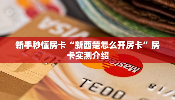 秒懂房卡“大圣房卡”在哪买房卡 秒懂房卡“大圣房卡”在哪买房卡