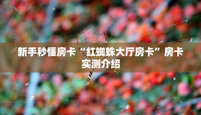 秒懂房卡“至尊正厅房卡如何充值”获取房卡方式 秒懂房卡“至尊正厅房卡如何充值”获取房卡方式
