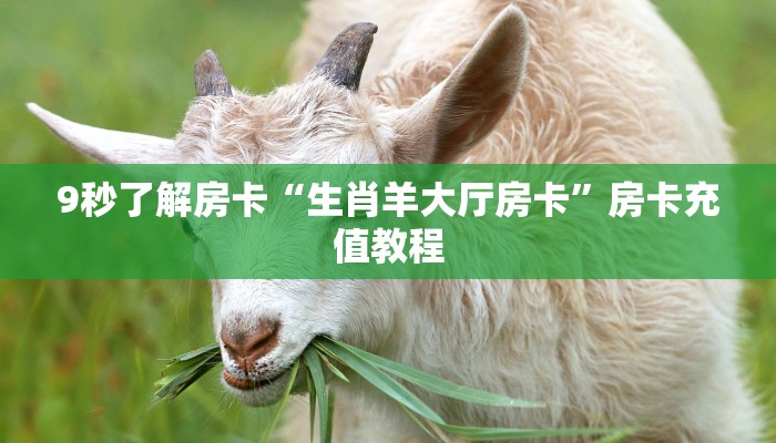 秒懂房卡“速八联盟大厅怎么开房卡”怎样买房卡 秒懂房卡“速八联盟大厅怎么开房卡”怎样买房卡
