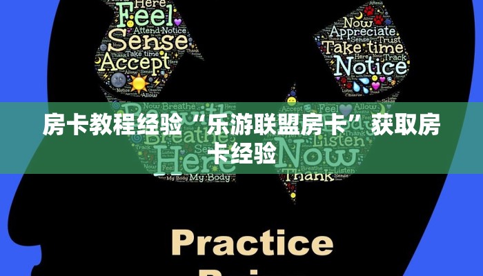秒懂房卡“卡农房卡”房卡购买经验