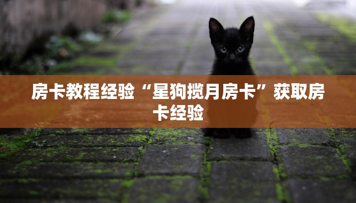 房卡教程经验“星狗揽月房卡”获取房卡经验 房卡教程经验“星狗揽月房卡”获取房卡经验