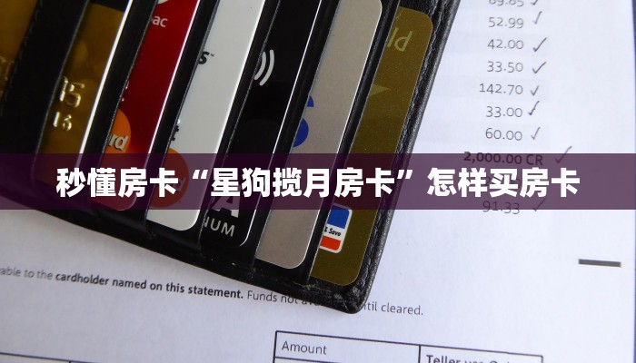 秒懂房卡“星狗揽月房卡”怎样买房卡 秒懂房卡“星狗揽月房卡”怎样买房卡