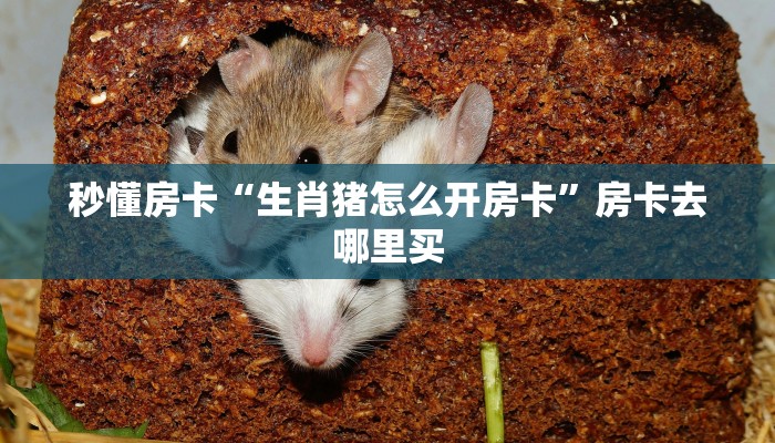 秒懂房卡“生肖猪怎么开房卡”房卡去哪里买 秒懂房卡“生肖猪怎么开房卡”房卡去哪里买