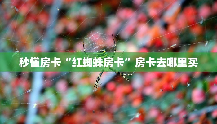 秒懂房卡“红蜘蛛房卡”房卡去哪里买