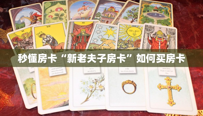秒懂房卡“新老夫子房卡”如何买房卡 秒懂房卡“新老夫子房卡”如何买房卡