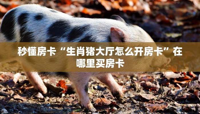 秒懂房卡“生肖猪大厅怎么开房卡”在哪里买房卡 秒懂房卡“生肖猪大厅怎么开房卡”在哪里买房卡