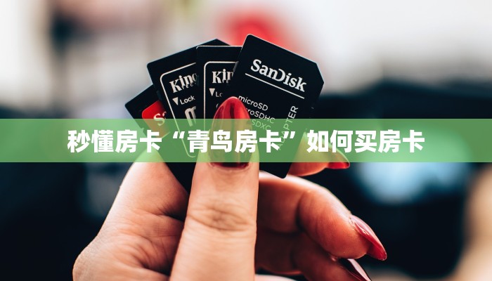 秒懂房卡“青鸟房卡”如何买房卡 秒懂房卡“青鸟房卡”如何买房卡