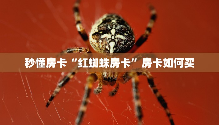 秒懂房卡“红蜘蛛房卡”房卡如何买 秒懂房卡“红蜘蛛房卡”房卡如何买